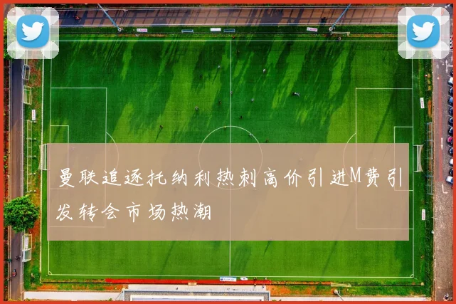 曼联追逐托纳利热刺高价引进M费引发转会市场热潮